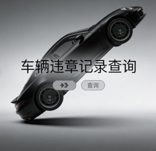 宁波交通警察网违章查询(宁波交通警察网违章查询官网)