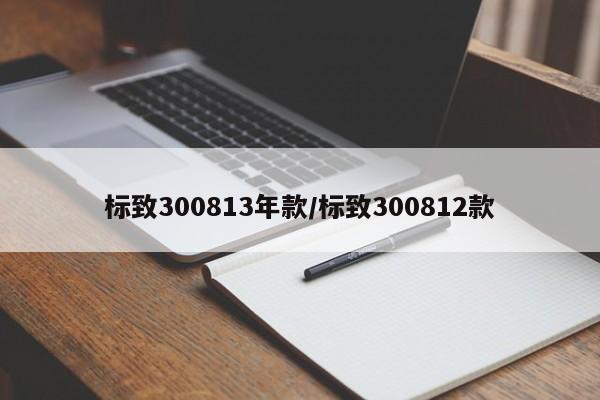 标致300813年款/标致300812款