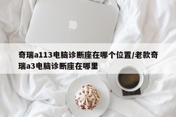 奇瑞a113电脑诊断座在哪个位置/老款奇瑞a3电脑诊断座在哪里