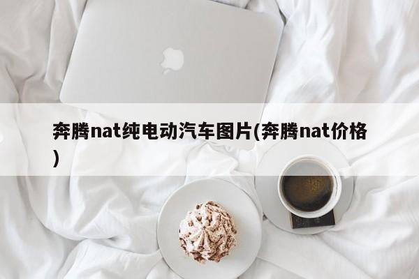 奔腾nat纯电动汽车图片(奔腾nat价格)